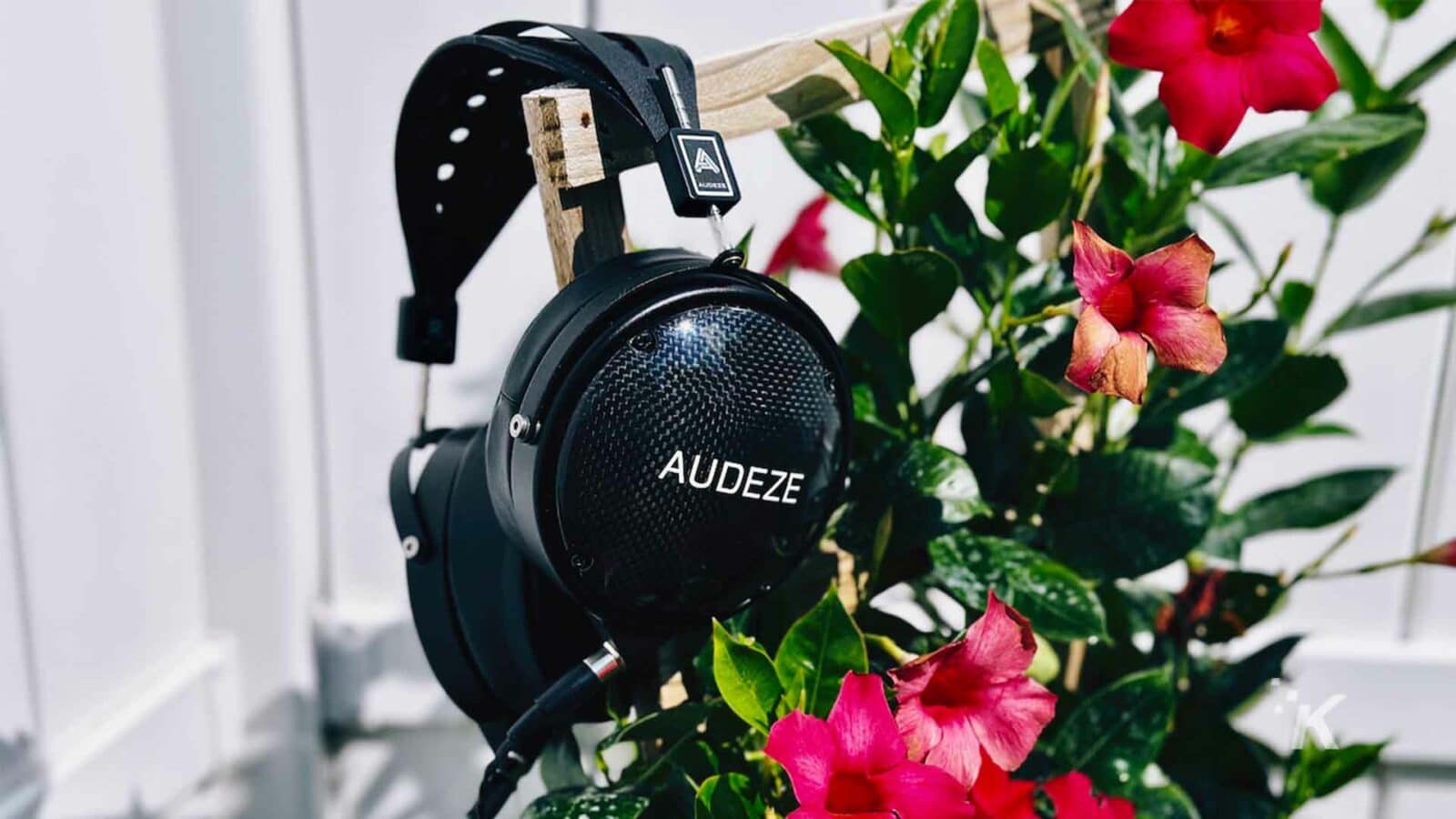A pair of headphones rests atop a vibrant flower and lush plant in an indoor setting.