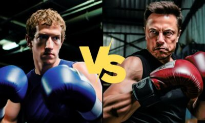 Elon Musk and Mark Zuckerberg wearing boxing gloves are sparring.