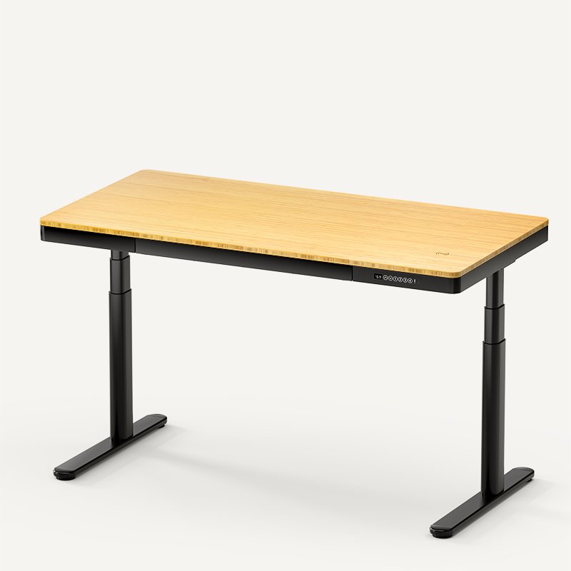 Flexispot E7 Premium Standing Desk