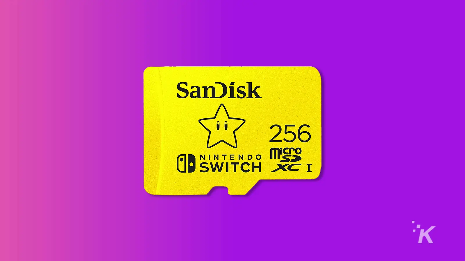 SanDisk 256GB microSDXC